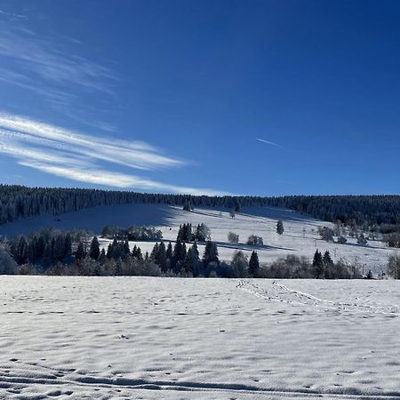 Apartman Nove Hute Sumava 外观 照片