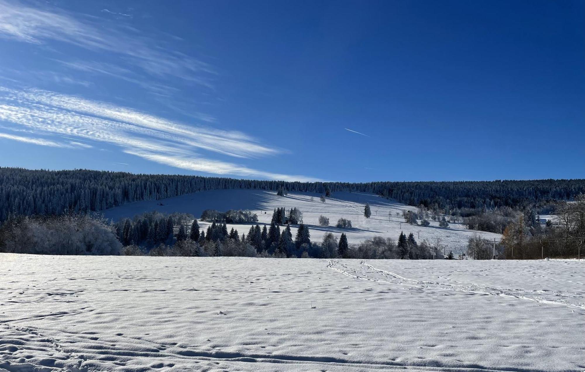 Apartman Nove Hute Sumava 外观 照片